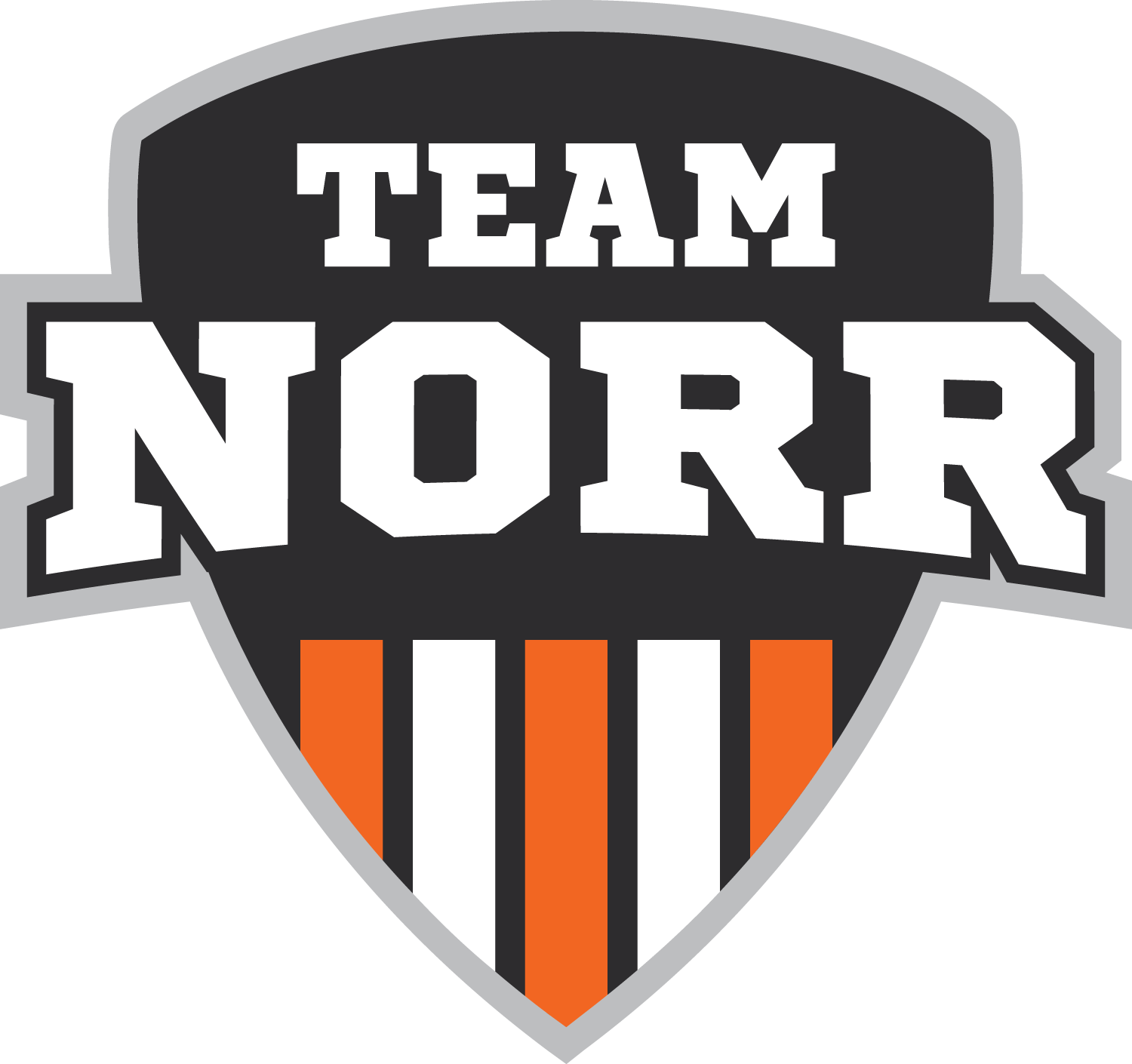 Website logo